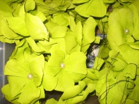 0006-20150520-hochzeit-vorbereitungen-6647-