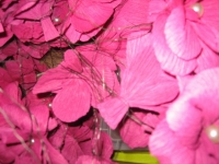 0007-20150520-hochzeit-vorbereitungen-6648-