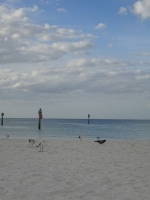 0015-20151213-honeymoon-00523