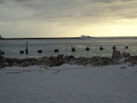 0019-20151213-honeymoon-00537