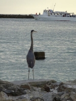 0020-20151213-honeymoon-00538