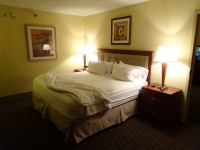 0046-20151214-honeymoon-00590