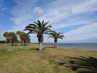 0056-20151214-honeymoon-00608