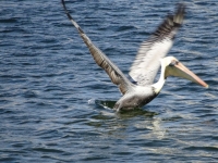 0058-20151214-honeymoon-00610