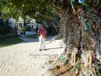 0075-20151214-honeymoon-00631