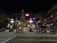 0089-20151215-honeymoon-00661