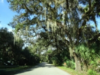 0098-20151215-honeymoon-00687