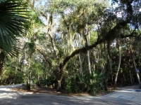 0099-20151215-honeymoon-00688