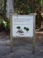 0102-20151215-honeymoon-00693