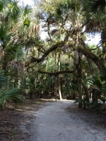 0104-20151215-honeymoon-00695