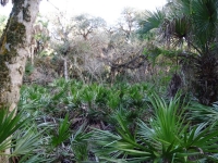 0105-20151215-honeymoon-00696