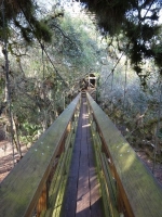 0106-20151215-honeymoon-00700