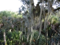 0111-20151215-honeymoon-00706