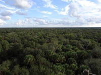 0112-20151215-honeymoon-00707