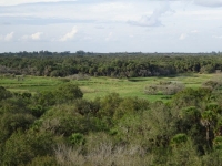 0114-20151215-honeymoon-00709