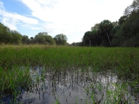 0117-20151215-honeymoon-00720