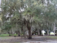 0121-20151215-honeymoon-00730