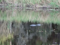 0124-20151215-honeymoon-00735