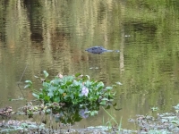 0125-20151215-honeymoon-00736