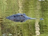 0126-20151215-honeymoon-00738