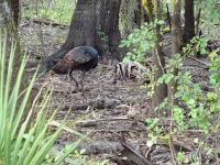 0127-20151215-honeymoon-00740