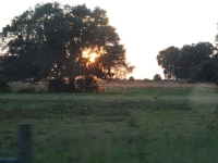 0128-20151216-honeymoon-00746