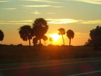 0129-20151216-honeymoon-00748