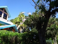 0144-20151216-honeymoon-00772