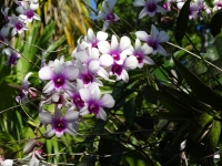 0145-20151216-honeymoon-00773