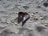 0153-20151216-honeymoon-00788