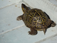 0157-20151216-honeymoon-00795