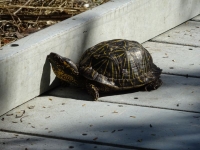 0158-20151216-honeymoon-00796