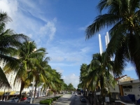 0189-20151218-honeymoon-00867