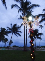 0223-20151219-honeymoon-00960