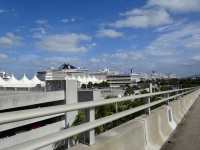 0236-20151219-honeymoon-00984