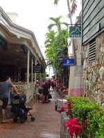 0286-20151222-honeymoon-01103