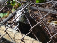 0297-20151222-honeymoon-01123