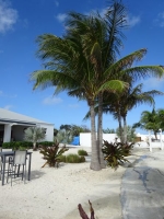 0401-20151225-honeymoon-01329