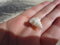 0406-20151225-honeymoon-01334