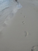 0409-20151225-honeymoon-01338