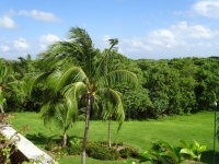 0449-20151227-honeymoon-01451