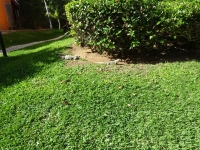 0451-20151227-honeymoon-01455