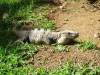 0452-20151227-honeymoon-01456