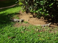 0453-20151227-honeymoon-01457