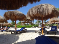 0454-20151227-honeymoon-01459