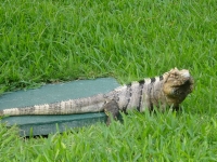 0468-20151229-honeymoon-01488