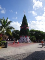 0475-20151230-honeymoon-01499