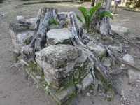 0490-20151231-honeymoon-01529