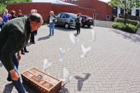 103-kirchliche_trauung-1458