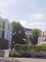 105-kirchliche_trauung-38